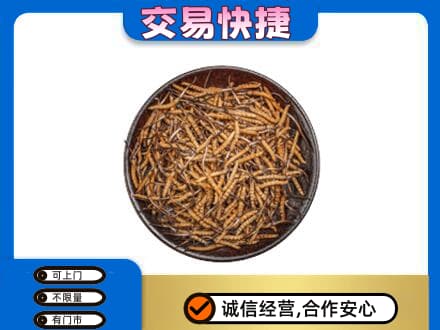 锦州市北镇高价回收散虫草